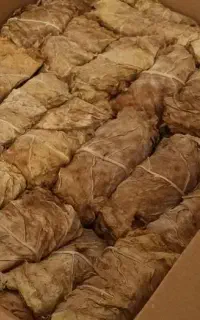 تنباکو