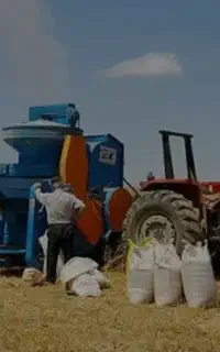 کاه گندم درجه یک امساله