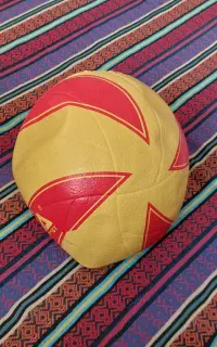 توپ والیبال