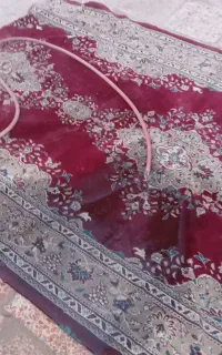 2عدد قالی دومتری به فروش میرسد  شرکت سپنتا نور 2