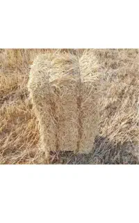 پرس گندم