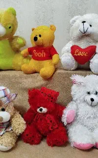 ۷ عروسک پولیشی سالم و تمیز / فروش تکی یا یکجا