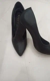 کفش مجلسی