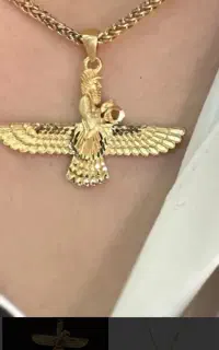 یک تیکه پلاک طلا فروهر گم شده