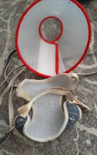 الیزابت وقلاده گربه