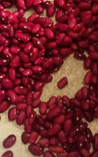 لوبیا قرمز درجه یک