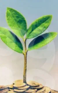 طرح سرمایه گذاری