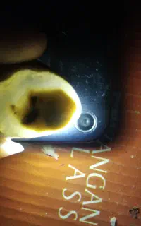 سنگ تصویر چهره داره