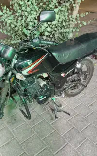 لوکی 185 باکسر