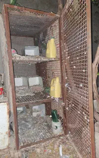 فروش چفت توری