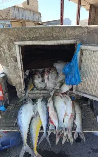 اهواز