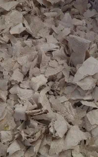 نان‌‌خشک‌بدون کپک