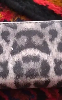 کیف مدارک فاطمه باقری