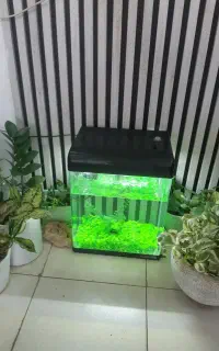 اکواریوم