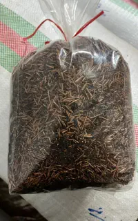چای آلبالو بهاره از کارخانه