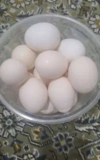 گندم سیاه دهه و تخم مرغ محلی