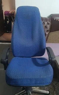 صندلی چرخ دار