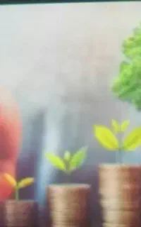 سرمایه گذارم. شراکت همکاری