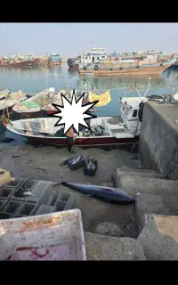 تشت قایق ۳۰ فوت قماره دارGH