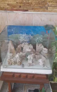 اکواریوم شرکتی