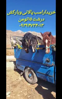 خریدوفروش اسب پالانی