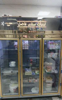 یخچال ایستاده سه درب و دو درب