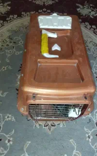 باکس سگ سالم