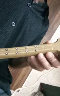 نی انبان الکترونیک