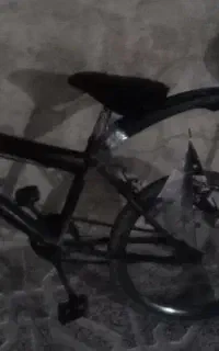 دوچرخه ۲۰ سالم