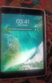 آی پدمینی 2