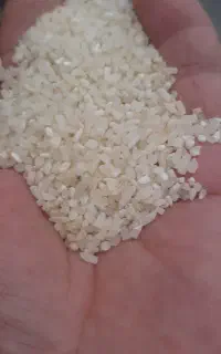 فروش دوقد