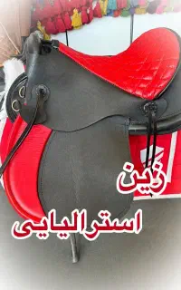 زین اسب و تجهیزات اسب سواری