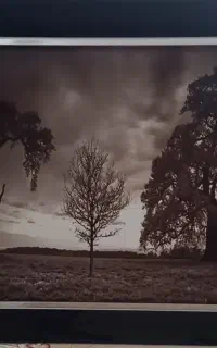 تابلو
