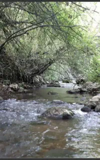 تور نسمه بانوان