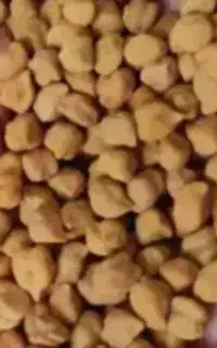 نخود قرمز مناسب کاشت