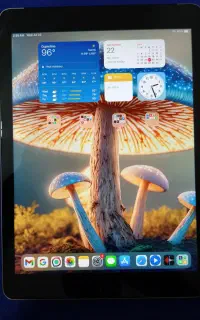 ipad air 3