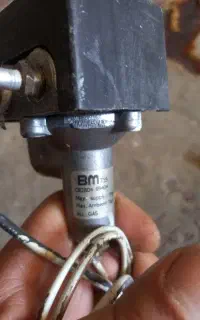 شیر بخاری