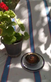 شیره انگور
