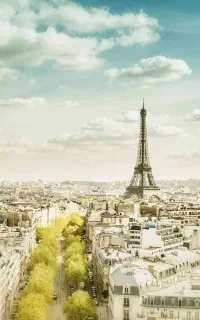 آموزش خصوصی زبان فرانسه