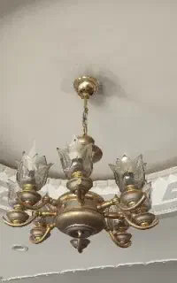 لوستر جنس برنج