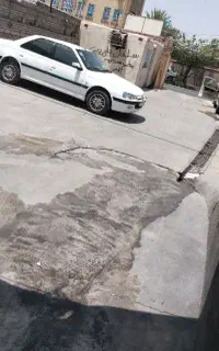 2 شاگرد باتجربه برای کارواش