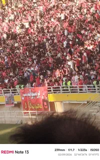 بلیط ۳ عدد،