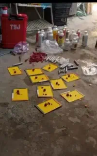 سمپاشی سوسک و ساس با گارانتی فقط در یک مرحله
