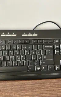 کیس