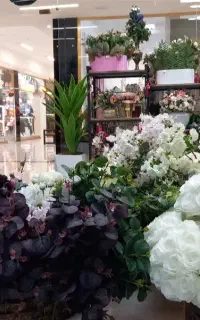 گل فروشی و درختچه
