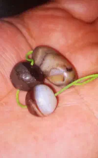س عدد سنگ قدیمی