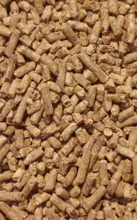 فروش کنجاله سویا
