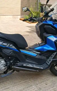 x DV 250