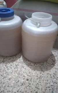 عسل کنار