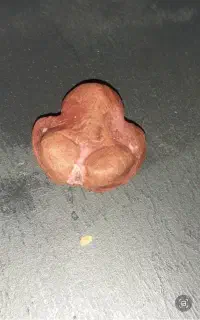 هبهاب